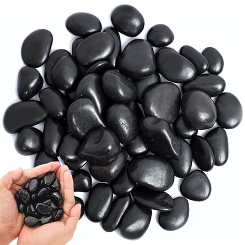 ARCPNRT Kieselsteine, Schwarz Polierte Flusssteine, Polierte Schwarze Kieselsteine, Glanzkies, Flusssteine Pflanzen, für Landschaftsbau, Heimdekoration, Handwerk, Kunstprojekte 2-3 cm, 1kg ARCPNRT Kieselsteine, Schwarz Polierte Flusssteine, Polierte Schwarze Kieselsteine, Glanzkies, Flusssteine Pflanzen, für Landschaftsbau, Heimdekoration, Handwerk, Kunstprojekte 2-3 cm, 1kg von ARCPNRT