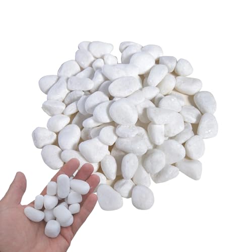 ARCPNRT Kieselsteine, Weiß Garten Kiesel, Polierte Weiß Kieselsteine, Ziersteine, Flusssteine Pflanzen, für Landschaftsbau, Heimdekoration, Handwerk, Kunstprojekte 2-4 cm, 1kg ARCPNRT Kieselsteine, Weiß Garten Kiesel, Polierte Weiß Kieselsteine, Ziersteine, Flusssteine Pflanzen, für Landschaftsbau, Heimdekoration, Handwerk, Kunstprojekte 2-4 cm, 1kg von ARCPNRT