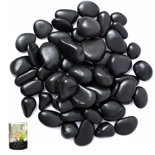 ARCPNRT Kieselsteine,Schwarz Polierte Flusssteine, Polierte Schwarze Kieselsteine, Dekorative Flusssteine,für Landschaftsbau, Heimdekoration, Handwerk, Kunstprojekte 1-2 cm, 1kg ARCPNRT Kieselsteine,Schwarz Polierte Flusssteine, Polierte Schwarze Kieselsteine, Dekorative Flusssteine,für Landschaftsbau, Heimdekoration, Handwerk, Kunstprojekte 1-2 cm, 1kg von ARCPNRT