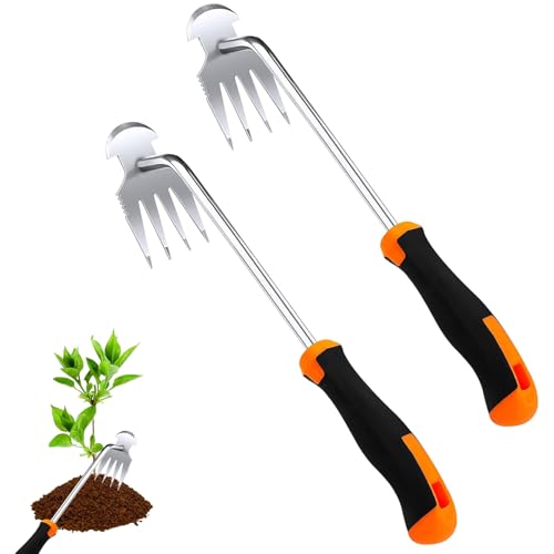 ARCPNRT Unkrautjäter, 2 Stück Edelstahl Unkrautstecher, Unkraut Entferner Gerät Fugenkratzer mit Stiel, Gartenrechen Unkrautentferner, Unkrautkralle, für Garten zum Graben, Umpflanzen, Jäten ARCPNRT Unkrautjäter, 2 Stück Edelstahl Unkrautstecher, Unkraut Entferner Gerät Fugenkratzer mit Stiel, Gartenrechen Unkrautentferner, Unkrautkralle, für Garten zum Graben, Umpflanzen, Jäten von ARCPNRT