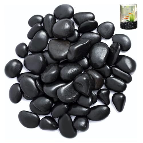 Kieselsteine, 2-4 cm Schwarz Garten Kiesel, 1kg Polierte Schwarz Kieselsteine, Ziersteine, Flusssteine Pflanzen, Dekosteine Poliert, für Landschaftsbau, Heimdekoration, Handwerk, Kunstprojekte Kieselsteine, 2-4 cm Schwarz Garten Kiesel, 1kg Polierte Schwarz Kieselsteine, Ziersteine, Flusssteine Pflanzen, Dekosteine Poliert, für Landschaftsbau, Heimdekoration, Handwerk, Kunstprojekte von ARCPNRT