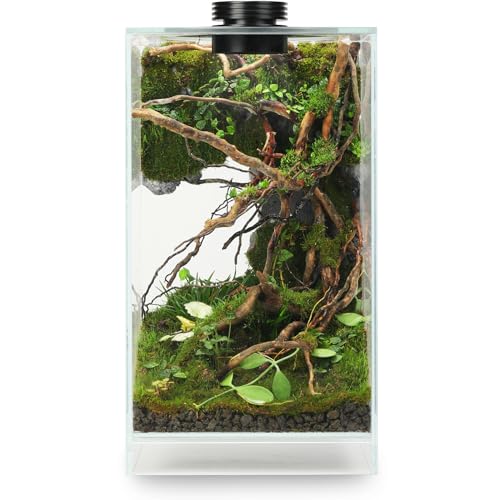 Tisch-Terrarium aus Glas mit Wachstumslicht (19,8 cm L x 19,8 cm B x 35,6 cm H), für Sukkulenten, Moos, Miniatur-Gartenlandschaft, Betta-Fischtank, Zimmerpflanzenwachstum, Büro, Heimdekoration von AREPK