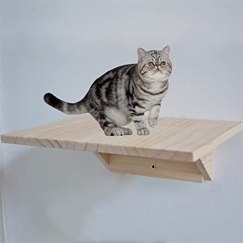 Kratzbaum für große Katzen, Wandrahmen für Katzen, Klettergerüst, solide, Katzenrahmen, Möbel, Verschiedene Katzengrößen (Größe: 25 cm x 40 cm) Vision von ARICCI
