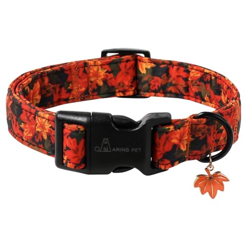 ARING PET Hundehalsband für Welpen, Herbst-Orange, Ahornblatt, Haustier-Halsbänder für kleine, mittelgroße und große Mädchen, Jungen, Thanksgiving, Halloween, Größe XS ARING PET Hundehalsband für Welpen, Herbst-Orange, Ahornblatt, Haustier-Halsbänder für kleine, mittelgroße und große Mädchen, Jungen, Thanksgiving, Halloween, Größe XS von ARING PET