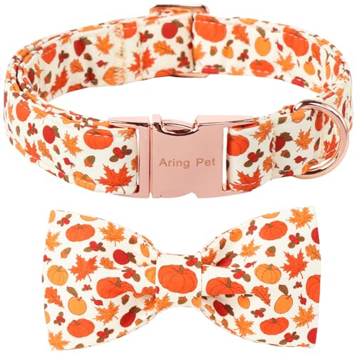 ARING PET Hundehalsband mit Schleife, verstellbar, Kürbis und Herbstblätter, Fliege, Haustier-Halskette mit Metallschnalle für Mädchen und Jungen ARING PET Hundehalsband mit Schleife, verstellbar, Kürbis und Herbstblätter, Fliege, Haustier-Halskette mit Metallschnalle für Mädchen und Jungen von ARING PET