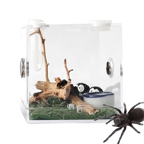 ARIOU 1Pcs Reptile Feeding Box Zuchtbehälter, Krabbelbox aus Acryl für die Zucht von Haustieren – transparente Aufbewahrung von Lebendfutter, Tragbares Reptiliengehege aus Acryl - Aufzuchtbehälter mit von ARIOU