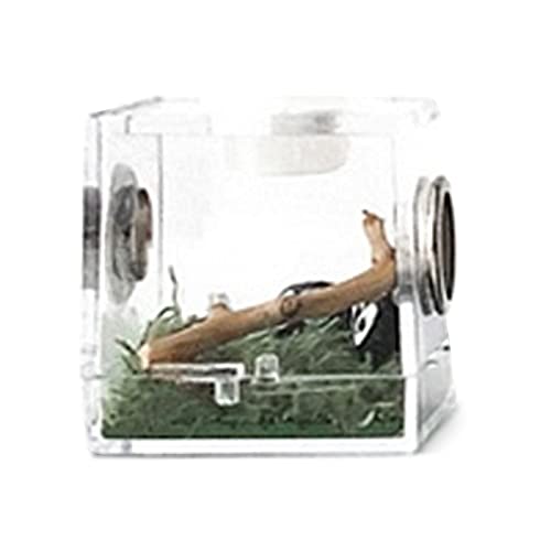 ARIOU 1Pcs Reptile Feeding Box Zuchtbehälter | Reptilien-Lebensraumkäfig aus Acryl | Tragbares Reptiliengehege aus Acryl - Aufzuchtbehälter mit Lüftungsloch aus Metall - für Spinne, Eidechse, von ARIOU