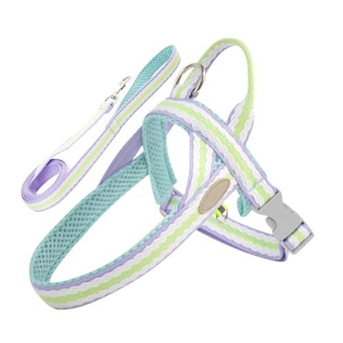 Haustiergeschirr-Gurtset, Hundegeschirr mit Gurt,Verstellbares Haustiergeschirr-Set | Verstellbares Hundeauslaufgerät mit Knopfdesign für Camping, Picknick, täglichen Spaziergang, Wochenendausflug und Haustiergeschirr-Gurtset, Hundegeschirr mit Gurt,Verstellbares Haustiergeschirr-Set | Verstellbares Hundeauslaufgerät mit Knopfdesign für Camping, Picknick, täglichen Spaziergang, Wochenendausflug und von ARIOU