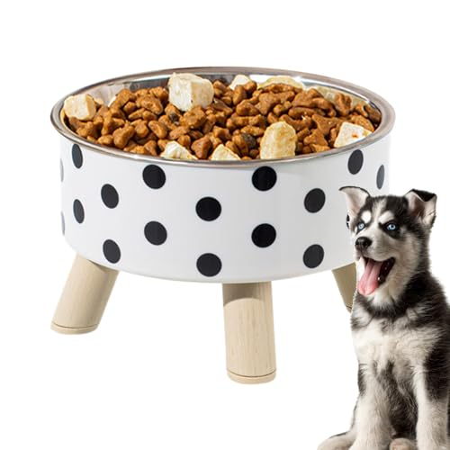 Hocherhöhter Futternapf für Katzen, Edelstahl, Schnurrhaarfreundlich, schützt die Wirbelsäule, Katzennapf, rutschfester Haustierbedarf für Indoor-Katzen, trockenes Nassfutter, Kätzchen Hocherhöhter Futternapf für Katzen, Edelstahl, Schnurrhaarfreundlich, schützt die Wirbelsäule, Katzennapf, rutschfester Haustierbedarf für Indoor-Katzen, trockenes Nassfutter, Kätzchen von ARIOU