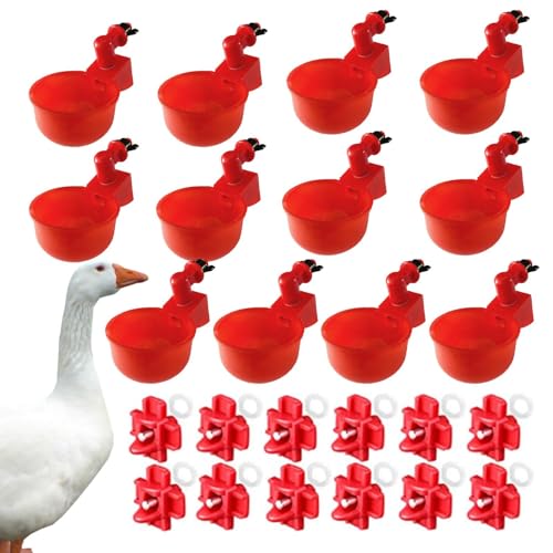 Hühner-Bewässerung | Automatische Hühner-Bewässerungsbecher – Hühner-Wasserbecher, Geflügel-Wasser-Futter-Set, Geflügel-Trinkschale für Huhn, , Vögel, Truthahn usw Hühner-Bewässerung | Automatische Hühner-Bewässerungsbecher – Hühner-Wasserbecher, Geflügel-Wasser-Futter-Set, Geflügel-Trinkschale für Huhn, , Vögel, Truthahn usw von ARIOU