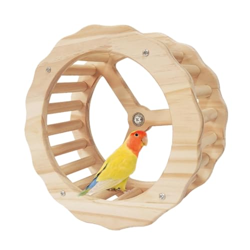Papageien-Übungsrad, interaktives Spinner-Rad – Vogelkäfig-Zubehör, Holz-Laufrad für Papageien, Wellensittiche, Nymphensittiche, Sittiche Papageien-Übungsrad, interaktives Spinner-Rad – Vogelkäfig-Zubehör, Holz-Laufrad für Papageien, Wellensittiche, Nymphensittiche, Sittiche von ARIOU