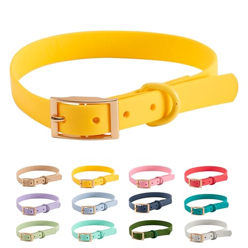 Halsband personalisierbar PVC Wasserabweisend |Arizona Hotdogs Hundehalsband Leo |Gelb | 41-50 cm L von ARIZONA HOT DOGS
