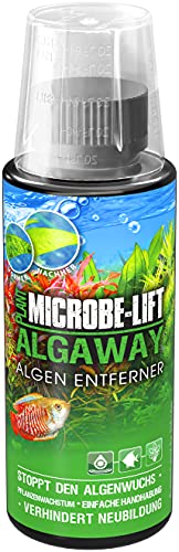 Microbe-Lift Algaway - 118 ml - Algenvernichter - Schnelle & effektive Algenbekämpfung für Süßwasseraquarien, verhindert Neubildung, sicher für Fische und Pflanzen von MICROBE-LIFT
