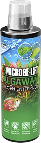 MICROBE-LIFT Algaway - 473 ml - Algenvernichter - Schnelle & effektive Algenbekämpfung für Süßwasseraquarien, verhindert Neubildung, sicher für Fische und Pflanzen von MICROBE-LIFT