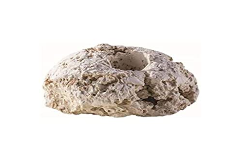 ARKA Reef Ceramic Frag-Stone rund, klein, 10 Stück. ARKA Reef Ceramic Frag-Stone rund, klein, 10 Stück. von ARKA