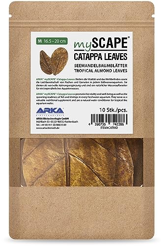 ARKA mySCAPE-CATAPPA Leaves | Seemandelbaumblätter | 16,5-20cm | 10 Stück | Natürlicher für Fische & Garnelen im Süßwasseraquarium von ARKA