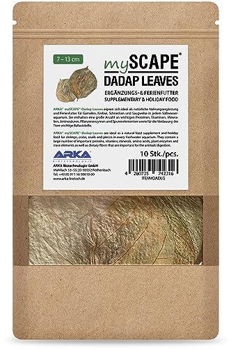 ARKA mySCAPE-DADAP Leaves - 7-13cm / 10 Stück - Natürliches Ferienfutter für Garnelen, Schnecken & Saugwelse, fördert Gesundheit in Süßwasseraquarien. von ARKA