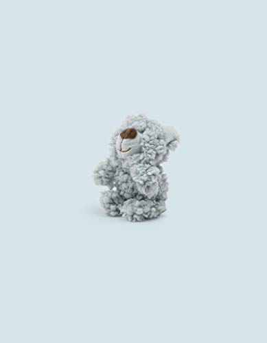 AROMADOG Mini-Bär, weiches, aromatisiertes Spielzeug für Hunde, Türkis von AROMADOG