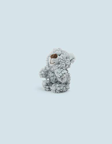 AROMADOG Mini-Bär, weiches, aromatisiertes Spielzeug für Hunde, Türkis AROMADOG Mini-Bär, weiches, aromatisiertes Spielzeug für Hunde, Türkis von Chomper