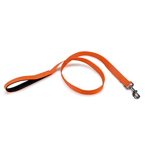 Arquivet 17630 Trageriemen, Nylon, Orange, 2.5 x 120 cm Arquivet 17630 Trageriemen, Nylon, Orange, 2.5 x 120 cm von Arquivet