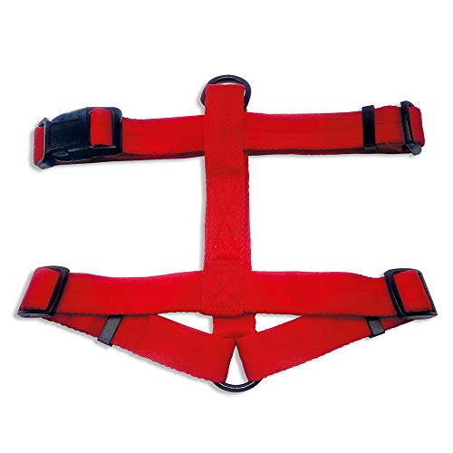 Arquivet 17678 Geschirr, 2,5 cm, Rot Arquivet 17678 Geschirr, 2,5 cm, Rot von Arquivet