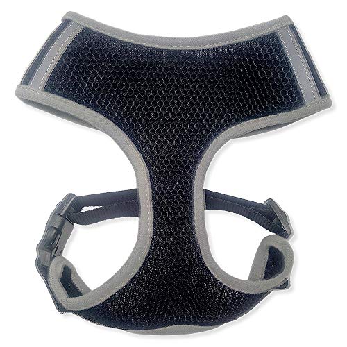 Arquivet 17690 Petral Schwarz, L Arquivet 17690 Petral Schwarz, L von Arquivet