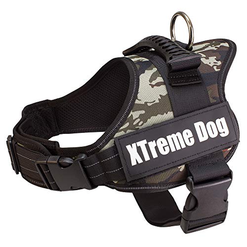 Arquivet Hundegeschirr Xtreme Dog Camouflage Größe: XS/44-57 cm, ergonomisches, verstellbares Hals- und Extra Robustes Hundegeschirr für Hunde - zum Training und Fahren Ihres Haustieres Arquivet Hundegeschirr Xtreme Dog Camouflage Größe: XS/44-57 cm, ergonomisches, verstellbares Hals- und Extra Robustes Hundegeschirr für Hunde - zum Training und Fahren Ihres Haustieres von Arquivet