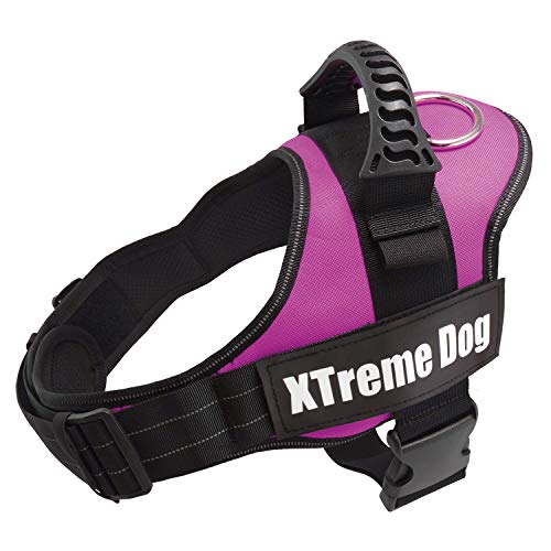 Arquivet Xtreme Hundegeschirr für Hunde, Rosa, Größe M / 61-81 cm, verstellbar, ergonomisch und robust, inkl. Griff an der Oberseite, zum Spazierengehen von Arquivet