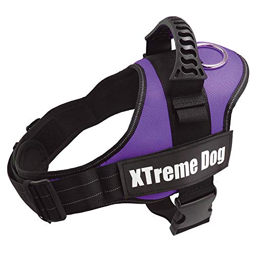 Arquivet Xtreme Hundegeschirr für Hunde, Lila, Größe XL/80-110 cm, verstellbar, ergonomisch und robust, inkl. Griff Oben zum Spazierengehen von Arquivet