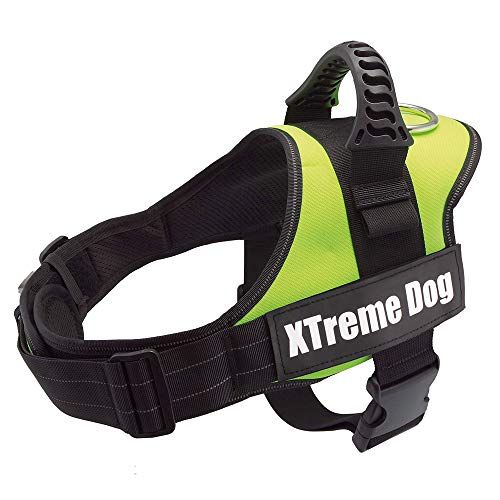 Arquivet Hundegeschirr Xtreme Dog - Neon Green - Größe: M/61-81 cm von Arquivet