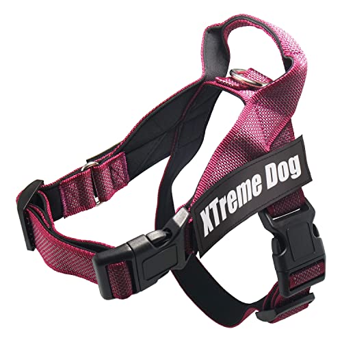 Arquivet Xtreme Dog Classic Hundegeschirr, Rosa, Größe XS/40-53 cm, verstellbar, ergonomisch und robust, inkl. Griff an der Oberseite zum Spazierengehen Arquivet Xtreme Dog Classic Hundegeschirr, Rosa, Größe XS/40-53 cm, verstellbar, ergonomisch und robust, inkl. Griff an der Oberseite zum Spazierengehen von Arquivet