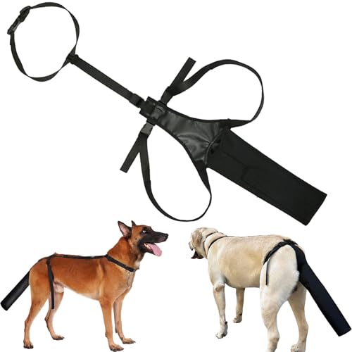 Hundeschwanzschutz, schwarze Schutzhülle, bequemes und langlebiges Design, Endschutz gegen Lecken zur Heilung, geeignet für Hunde in Größe L von ARROMI