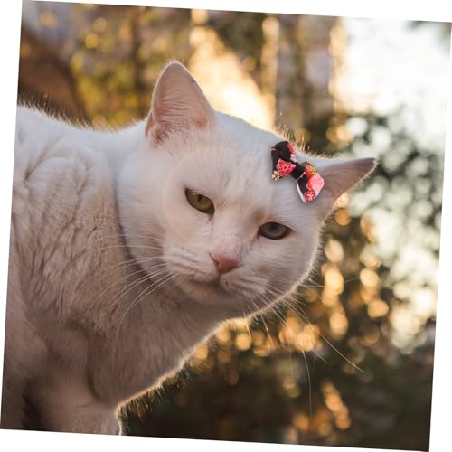 ARTSEWPLY 10 Stück Teiliges Elastische Weiche Hundehaarbänder in Bunten Farben Langlebiges Bequemes Haustierzubehör für Kleine und Mittelgroße Hunde für DIY Hairstyles und Geschenkoption von ARTSEWPLY