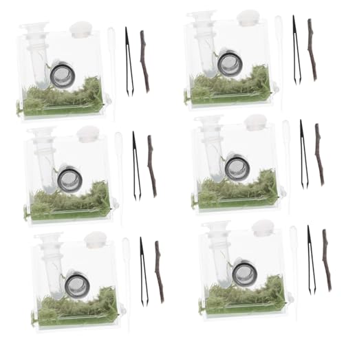 ARTSEWPLY 2 Sätze Springspinne Aufzuchtbox Transparent Kleine Reptilien Zuchtbox mit Belüftungslöchern Robustes Terrarium für Spinnen und Insekten Haustierhaltung von ARTSEWPLY
