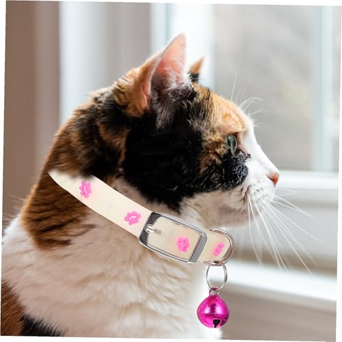 ARTSEWPLY 3 Stück Fluoreszierendes Haustierhalsband Verstellbar für Kleine Hunde und Welpen Leuchtendes Sicherheitsband für Nacht Hautfreundlich Langlebig Multifunktional Zufällige Farbe von ARTSEWPLY