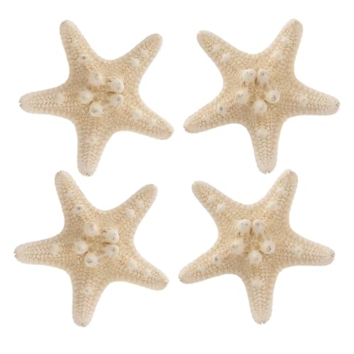 ARTSEWPLY 4 Stück Natürliche Flache Finger seesterne für DIY Strand Deko Bastelprojekte Wohnzimmer Schlafzimmer Dekoration Geschenkidee aus Echtem Meeresschmuck ARTSEWPLY 4 Stück Natürliche Flache Finger seesterne für DIY Strand Deko Bastelprojekte Wohnzimmer Schlafzimmer Dekoration Geschenkidee aus Echtem Meeresschmuck von ARTSEWPLY