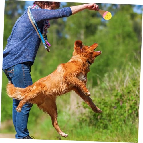 ARTSEWPLY 4 Stück Teiliges Interaktives Hundespielzeug aus Strapazierfähigem Vinyl mit Quietschfunktion Kaustark Zahnpflegend Buntes Kauspielzeug für Welpen und Kleine bis Mittlere Hunde von ARTSEWPLY