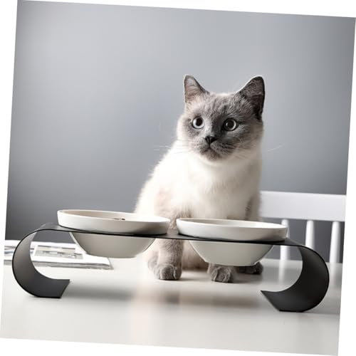 ARTSEWPLY Erhöhter Keramik Katzen Hundebar Doppelnapf mit Stabilem Eisenhalter Leicht zu Reinigen für Futter und Wasser für Kleine Haustiere Geschenk Geeignet von ARTSEWPLY