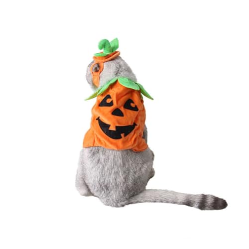 ARTSEWPLY Halloween Haustier Kürbis Kostüm aus Weichem Polyester Verstellbar mit Klettband Dreidimensionales Design Komfortabel und Atmungsaktiv für Halloween Partys und Karneval Orange von ARTSEWPLY