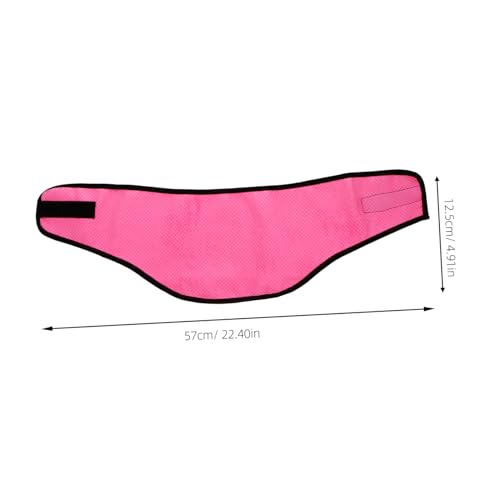 ARTSEWPLY Haustier Kühlhalstuch Atmungsaktiv Leichtes Hundeschal für Sommer Outdoor Walking Jogging Training Saugfähiges Schnell Trocknendes EIS Kühltuch für Hunde um Überhitzung zu von ARTSEWPLY