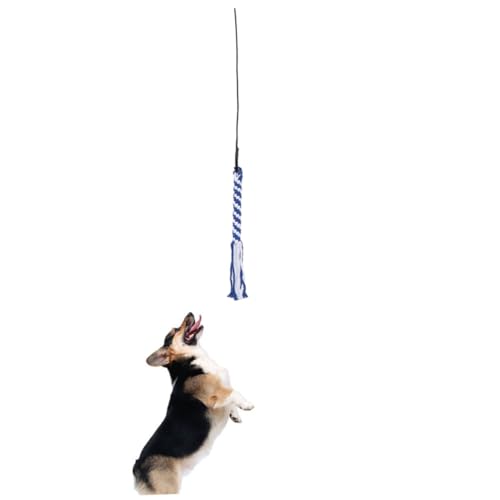 ARTSEWPLY Interaktives Hundespielzeug Teleskop Flirtstange mit Baumwollseil Verstellbar für Welpen Training und Beschäftigung Langlebig und Leicht Tragbar S Schwarz mit Blauem Spielkopf ARTSEWPLY Interaktives Hundespielzeug Teleskop Flirtstange mit Baumwollseil Verstellbar für Welpen Training und Beschäftigung Langlebig und Leicht Tragbar S Schwarz mit Blauem Spielkopf von ARTSEWPLY