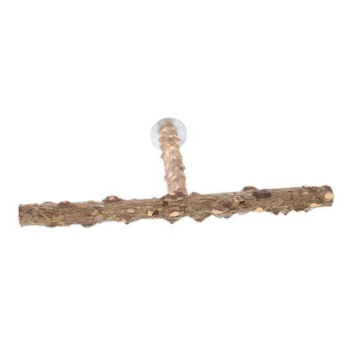 ARTSEWPLY Naturholz Papagei Sitzstange Stand Vogelspielzeug Kauspielzeug Robust rutschfest Sitzstange für Käfigvögel Kleine bis Mittlere Vögel Fitness Spielplatz ARTSEWPLY Naturholz Papagei Sitzstange Stand Vogelspielzeug Kauspielzeug Robust rutschfest Sitzstange für Käfigvögel Kleine bis Mittlere Vögel Fitness Spielplatz von ARTSEWPLY