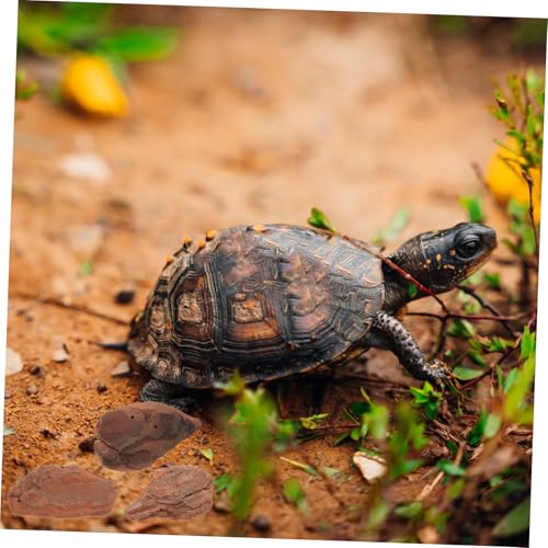 ARTSEWPLY Reptilien Terrarium Rinden Chips Naturholz Deko Einstreu für Schildkröten Gehege und Aquarium Dekoration von ARTSEWPLY