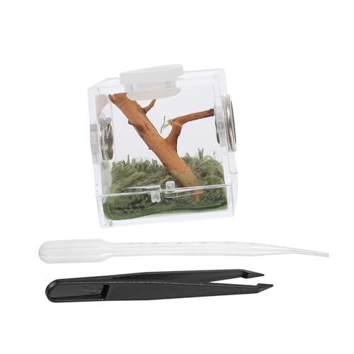 ARTSEWPLY Reptilien Zuchtbox aus Transparentem Acryl Atmungsaktiv mit Belüftungslöchern Geeignet für Spinnen Springspinnen Geckos und Kleine Reptilien als Terrarium und Transportbox für ARTSEWPLY Reptilien Zuchtbox aus Transparentem Acryl Atmungsaktiv mit Belüftungslöchern Geeignet für Spinnen Springspinnen Geckos und Kleine Reptilien als Terrarium und Transportbox für von ARTSEWPLY