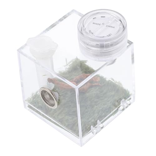 ARTSEWPLY Spider Habitat Box Mittelgroßer Springspinnen Zuchtkasten mit Belüftung Feuchtigkeitsresistent und Fütterungsklappe für Insekten und Reptilienhalter mit Mini Lampe ARTSEWPLY Spider Habitat Box Mittelgroßer Springspinnen Zuchtkasten mit Belüftung Feuchtigkeitsresistent und Fütterungsklappe für Insekten und Reptilienhalter mit Mini Lampe von ARTSEWPLY