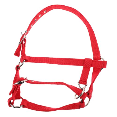 ARTSEWPLY Mädchen Reittraining Halfter Set Verstellbar Und Gepolstert Für Nylon Zubehör Für Pferde Für Reiter von ARTSEWPLY