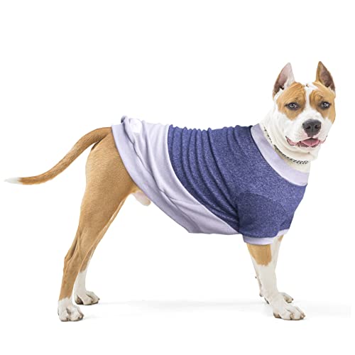 ARUNNERS Hundepullover, 100 % Polyester, warme Kleidung für große Haustiere, Jungen und Mädchen, Blau und Grau, 4XL von ARUNNERS