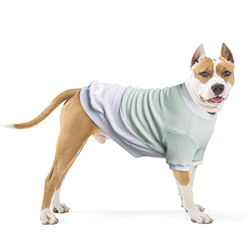 ARUNNERS Hundepullover, 100 % Polyester, warme Kleidung für große Haustiere, Jungen und Mädchen, Grün und Grau, Größe 4XL von ARUNNERS
