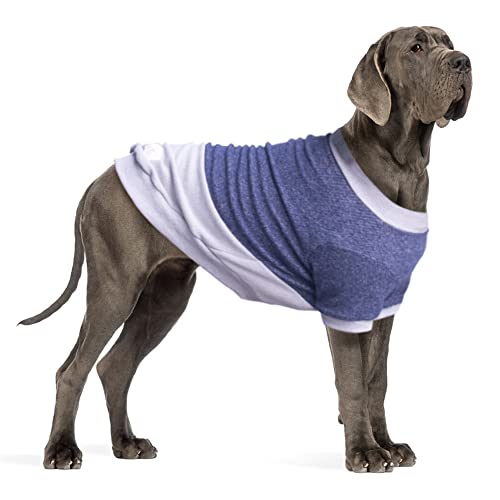 ARUNNERS Hundepullover, warme Kleidung für große Hunde, Jungen und Mädchen, Blau und Grau, 8XL von ARUNNERS