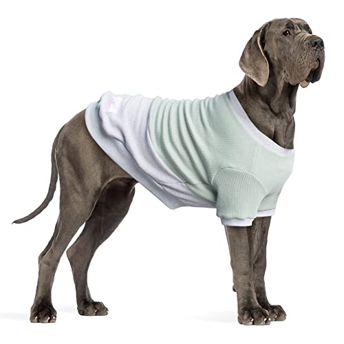 ARUNNERS Hundepullover, warme Kleidung für große Hunde, Jungen und Mädchen, Grün und Grau, 8XL von ARUNNERS